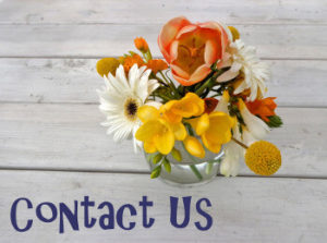 Contact Us